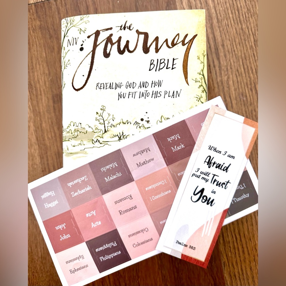 NIV The Journey Bible - Revealing God… - LIKE NEW plus FREE Index Tabs